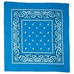 Bandana - Paisley Blue