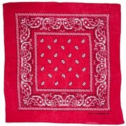 Bandana - Paisley Blue