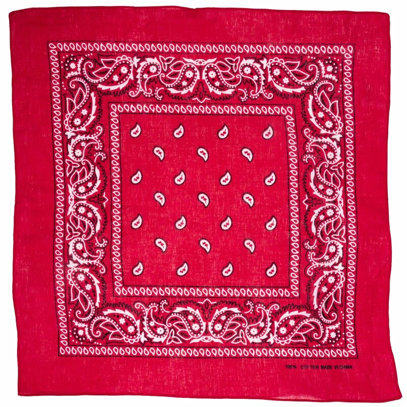 Bandana - Paisley Blue 1 Bandana - Paisley Blue