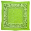 Bandana - Paisley Lime