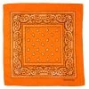 Bandana - Paisley Orange