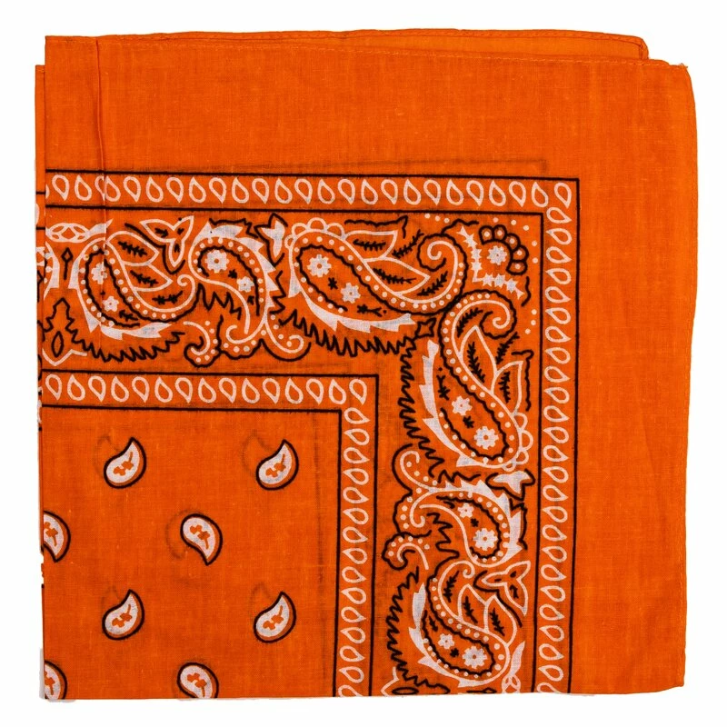 Bandana - Paisley Orange 2 Bandana - Paisley Orange - Image 2